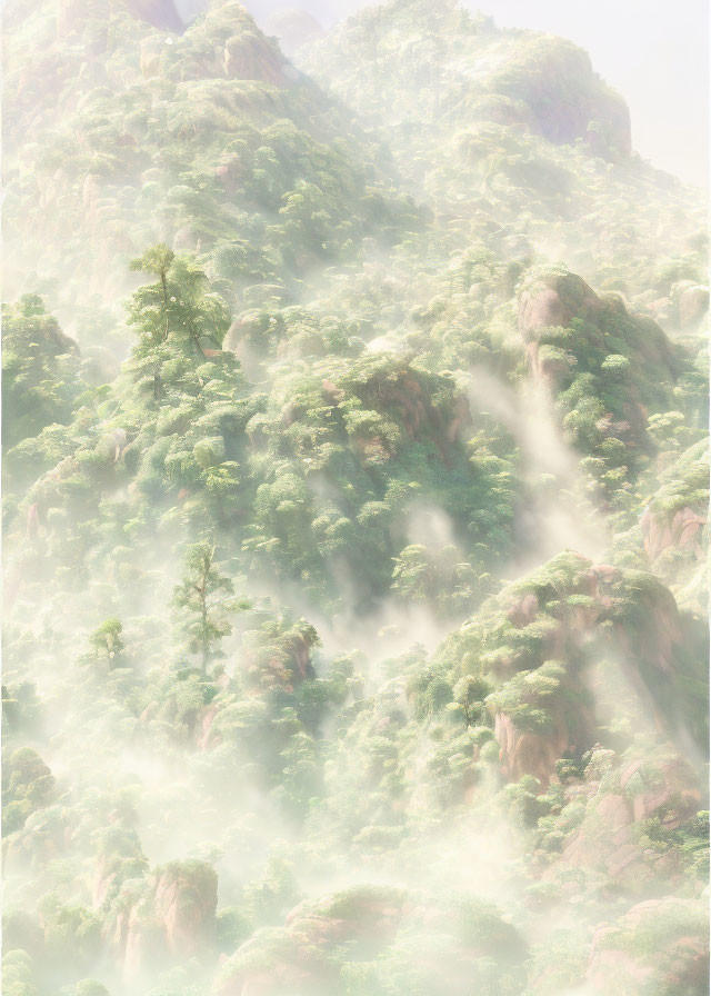 Lush Greenery and Foggy Mountain Landscape with Rocks