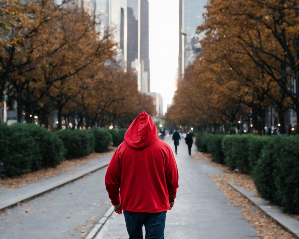 Person in Red Hoodie Walking Down Tree-Lined Path in Autumn Cityscape