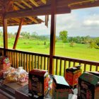 Balcony view of books and castle in vibrant landscape