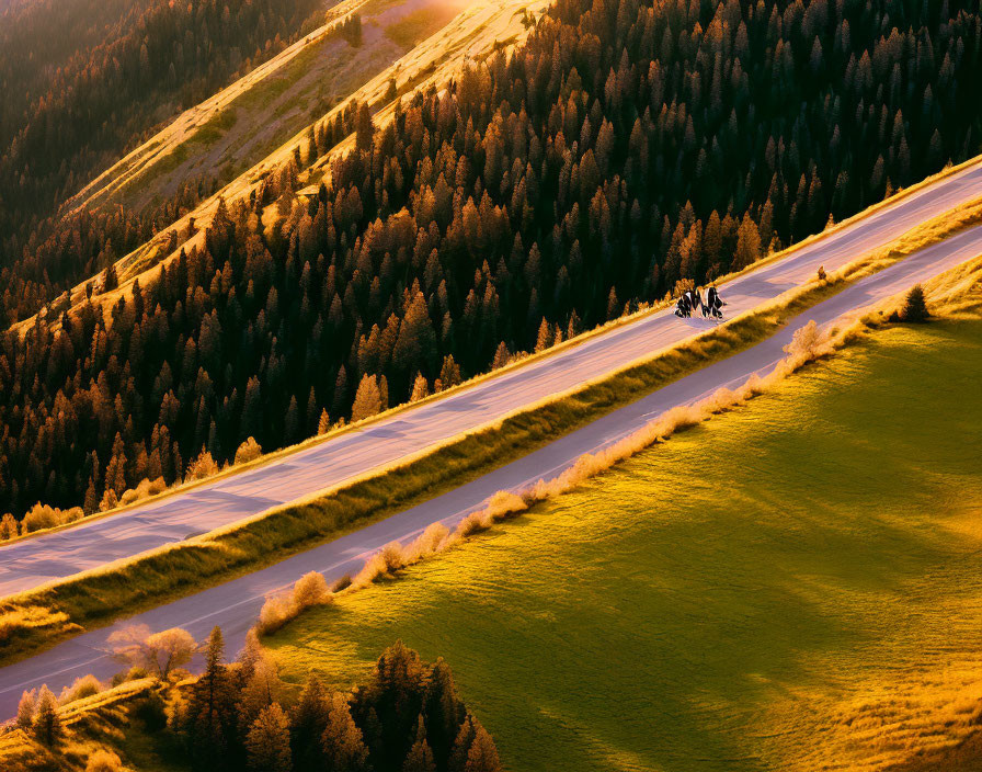 People on mountain ridge at sunset with warm glow on grass and pine trees