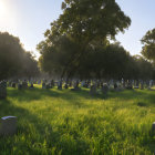 Sunrise scene in cemetery with soft light on tombstones