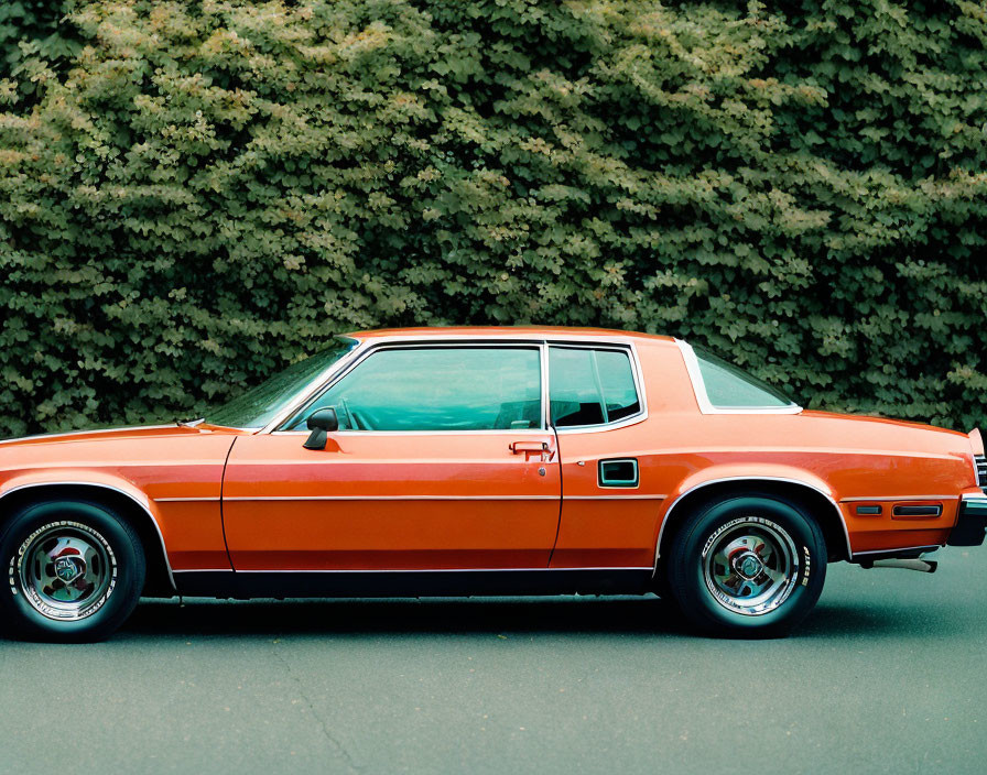 Orange Two-Door Coupe with Chrome Wheels Parked by Green Hedge