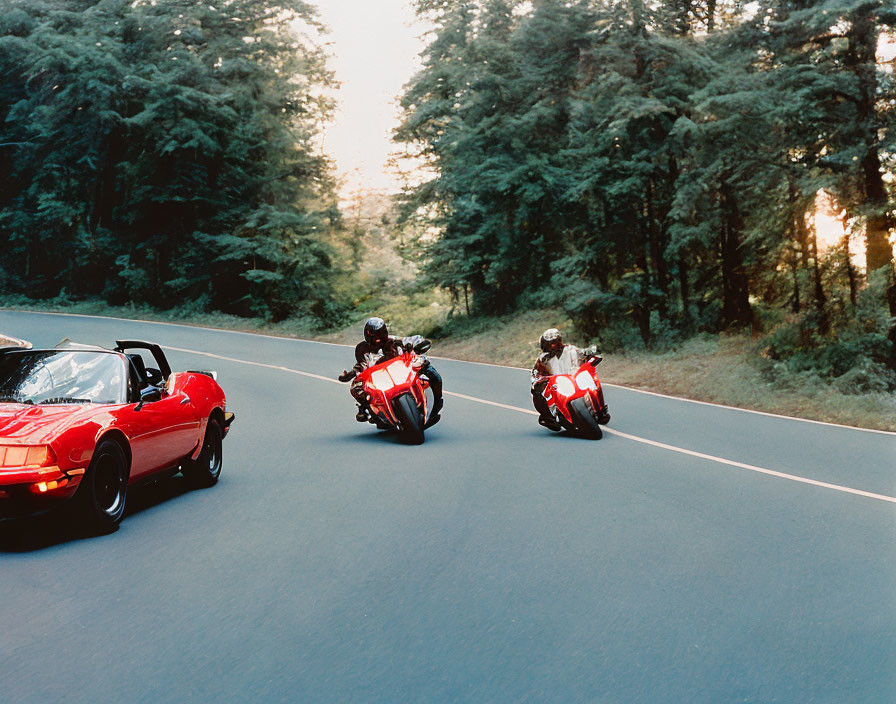 Convertible Car and Motorcycles on Forest-Lined Road