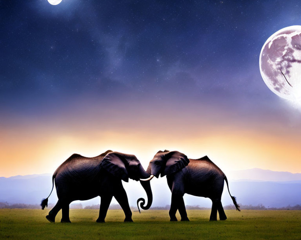 Elephants touching trunks under starry sky with moon and surreal planetary body