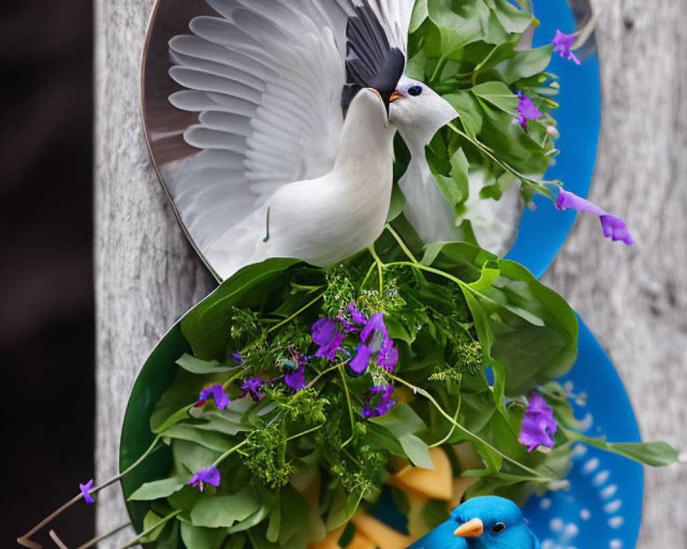 White and blue bird plates with green leaves and purple flowers design.