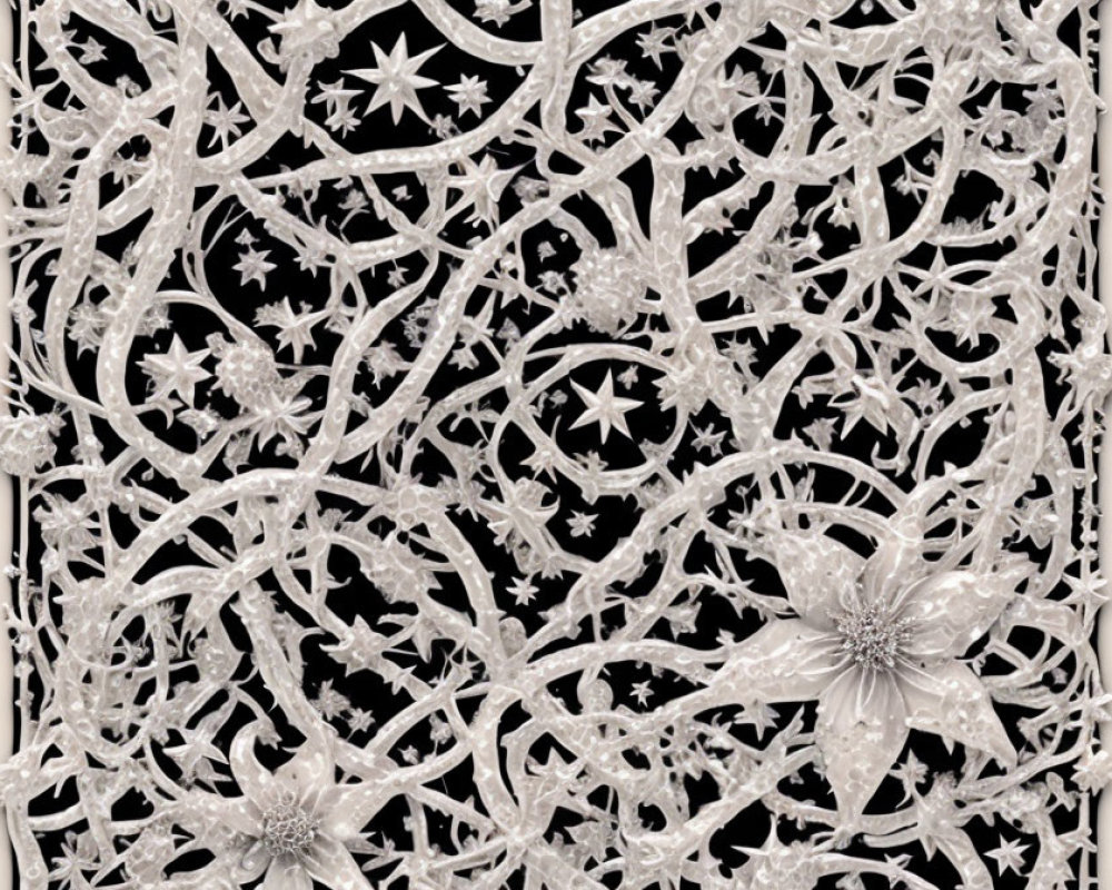 Silver and White Floral Lace Pattern on Black Background