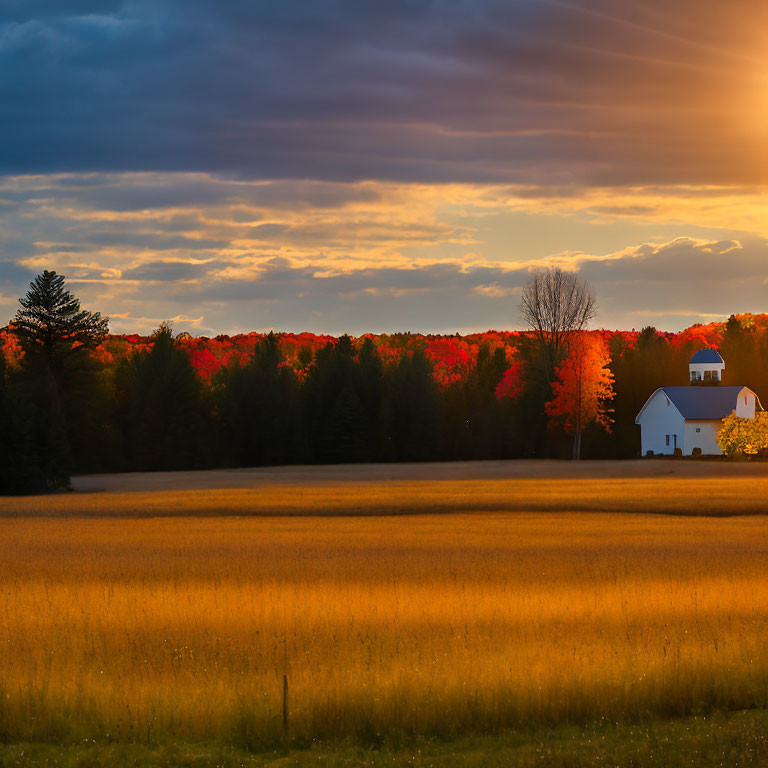 Vibrant autumn sunset over golden field with white house and trees