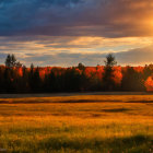 Vibrant autumn sunset over golden field with white house and trees