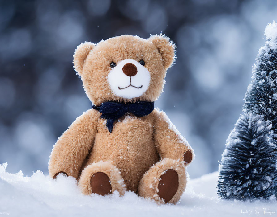 Blue Scarf Teddy Bear Sitting Beside Frosted Tree