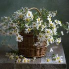 Still life painting of wicker basket with daisies on table