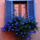 Stained-glass detailed window in fantasy setting with vibrant trees