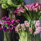 Colorful Flowers in Three Glass Vases on Blurred Background