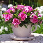 Colorful Flower Painting in Pink Teacup on Floral Background