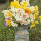 Detailed Yellow Daffodils Painting in Glass Jar on Colorful Garden Background