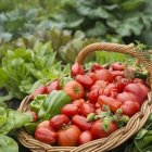 Colorful Pixelated Digital Artwork of Wicker Basket with Fruits and Vegetables