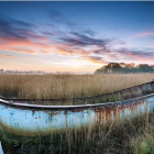 Old Boat Surrounded by Orange Flowers on Tranquil River at Sunrise