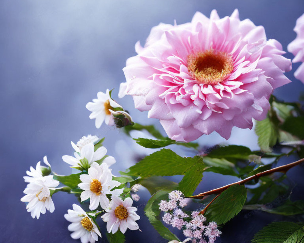 Pink peony, white daisies, and greenery on blue background