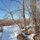 Winter landscape with snow-covered trees and terrain under clear blue sky