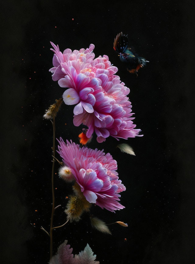 Vibrant pink flowers, bird in flight, dark backdrop - ethereal composition