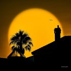 Silhouette of horse, cabin, tree, lighthouse, against glowing Tree of Life & dark sky