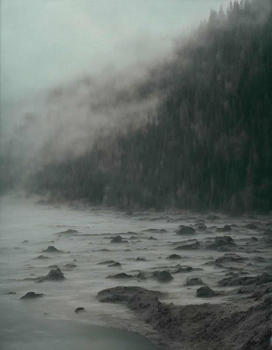 Foggy forested hillside by river with rocky banks in mist