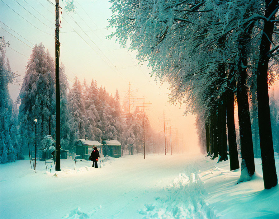 Snow-covered Road with Frosty Trees under Warm Winter Sky