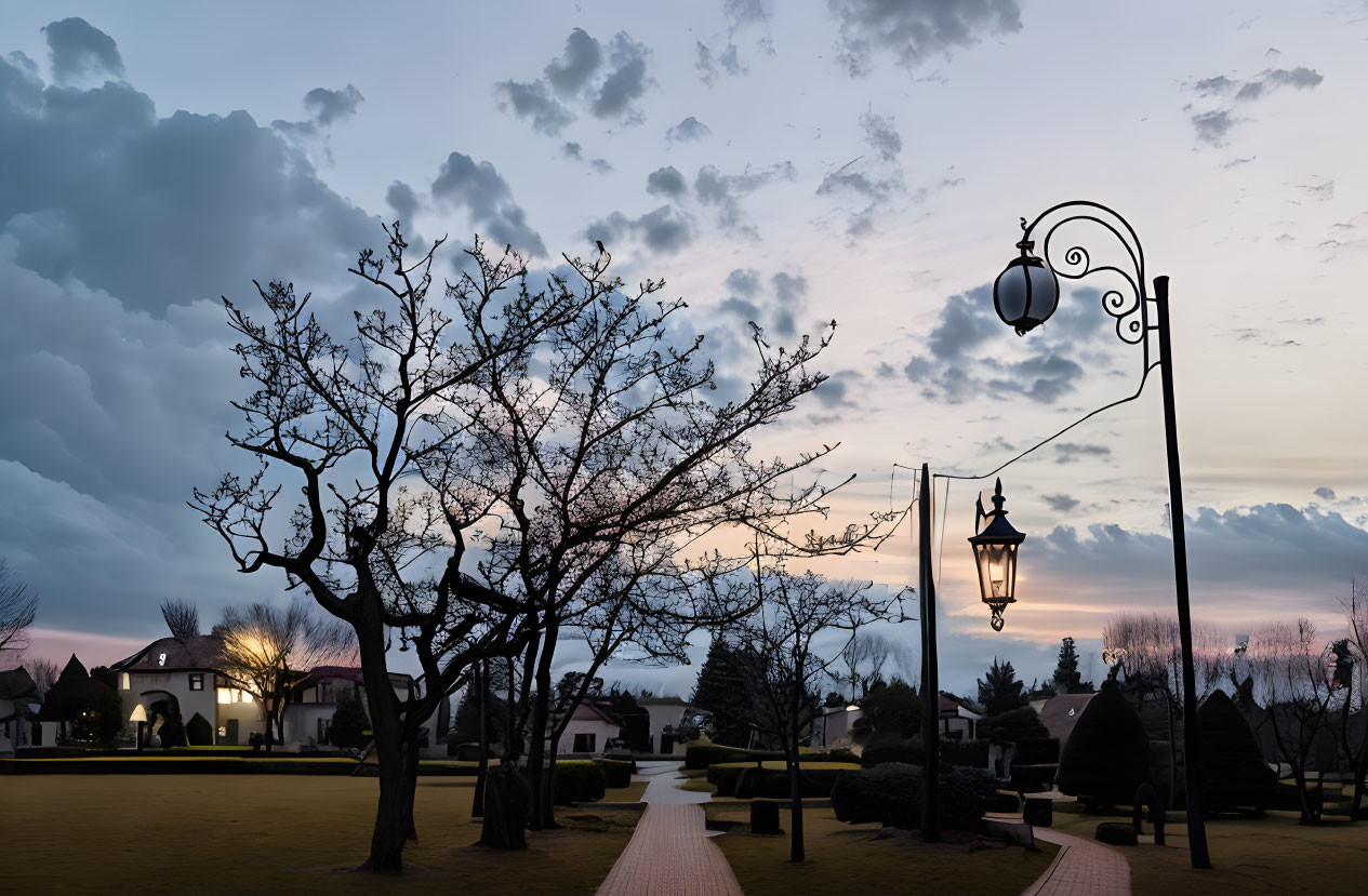 Twilight park scene with silhouetted trees and glowing street lamps