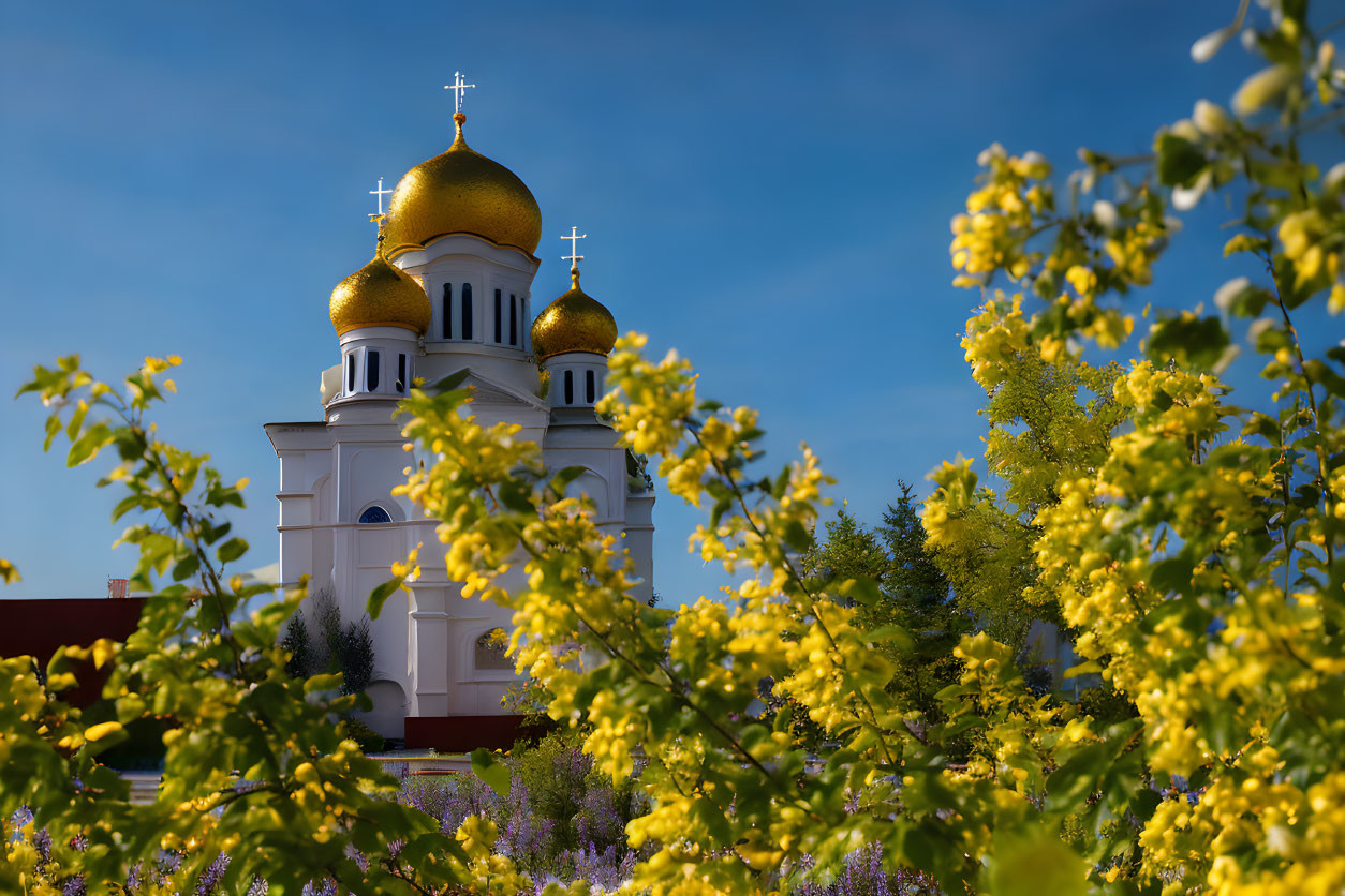 Golden domed church in vibrant foliage under blue sky