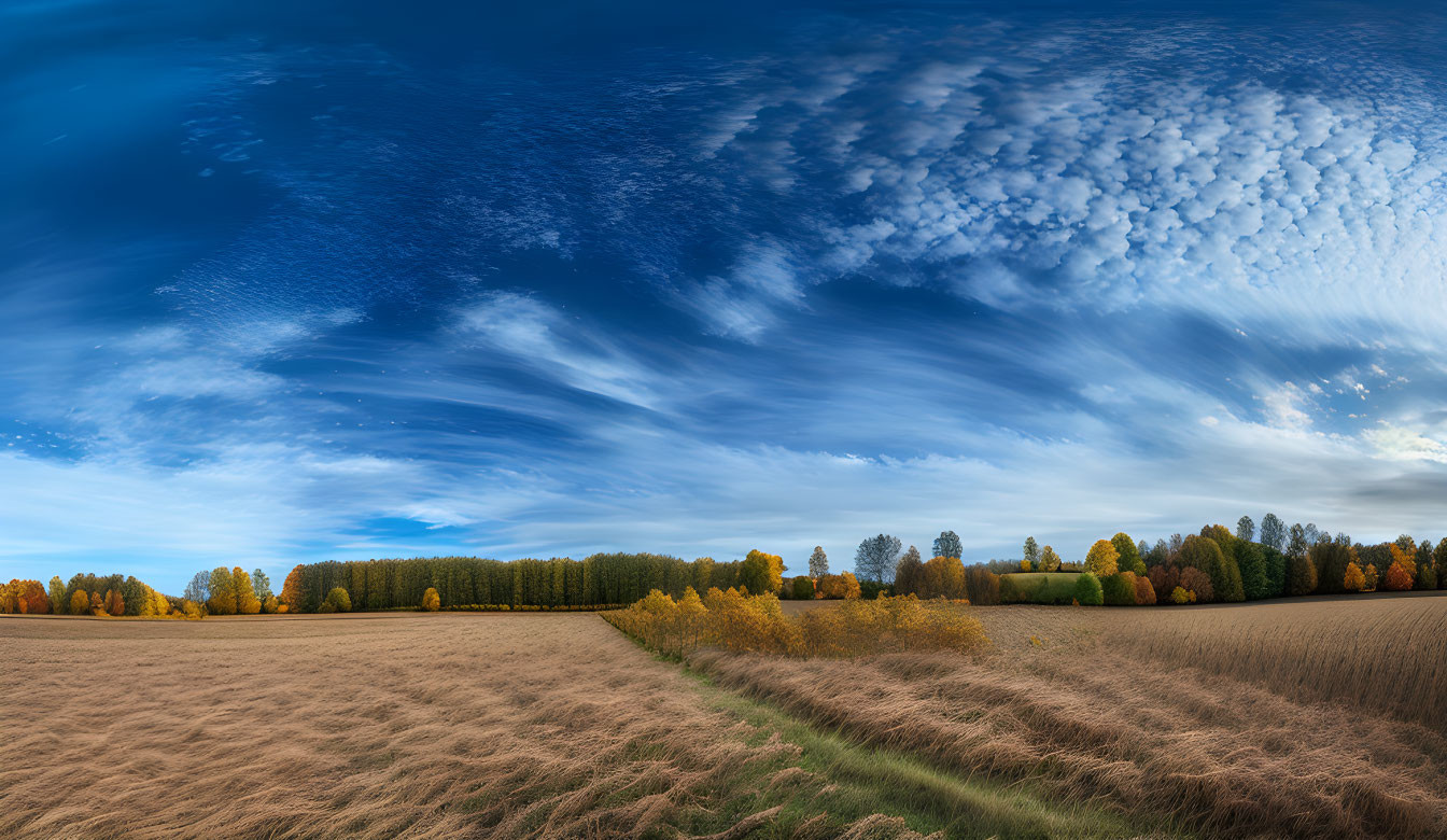 Vivid autumn landscape with golden fields and yellow trees