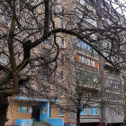 Tranquil park with flowering trees, benches, and modern high-rise buildings in mist.