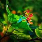 Autumnal transition with green leaves in shades of orange and yellow