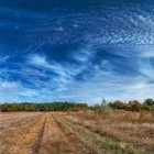 Colorful landscape painting of blooming field and distant houses under starry sky