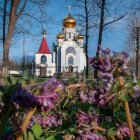 Vibrant garden with colorful flowers and golden-domed building in serene woods