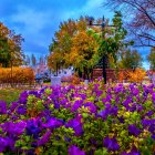 Vibrant purple and yellow flowers under a swirling night sky