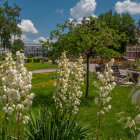 Colorful garden with white and pink flowers and classical building under blue sky.