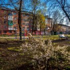 Tranquil urban garden with white flowers and modern brick apartment complex