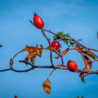 Colorful stylized birds on leafy branch against cloudy sky