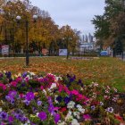 Colorful floral landscape with village and crescent moon