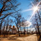 Fantasy landscape with glowing trees, iridescent bubbles, and radiant sun