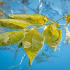 Colorful digital artwork: Yellow leaves, butterfly, blue backdrop