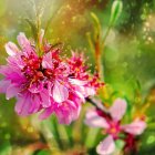 Bright pink flowers with dew droplets on bokeh background - a fresh, soft sunlight scene.