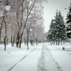 Snowy Forest Path with Glowing Street Lamp at Dusk