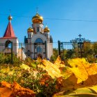 Traditional church with golden domes in colorful flower field and blue sky