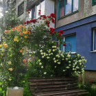 Ornate building with vibrant vines and blue doors