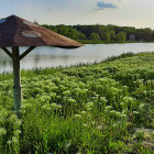 Oversized mushroom in surreal landscape near lake