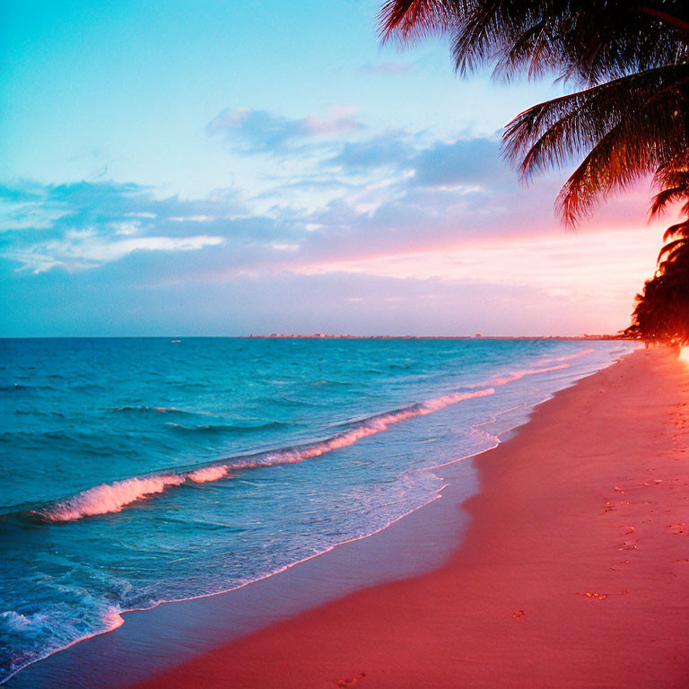 Tranquil Tropical Beach Sunset with Pink and Blue Sky