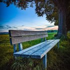 Rustic wooden bench in serene field with yellow flowers and twilight sky
