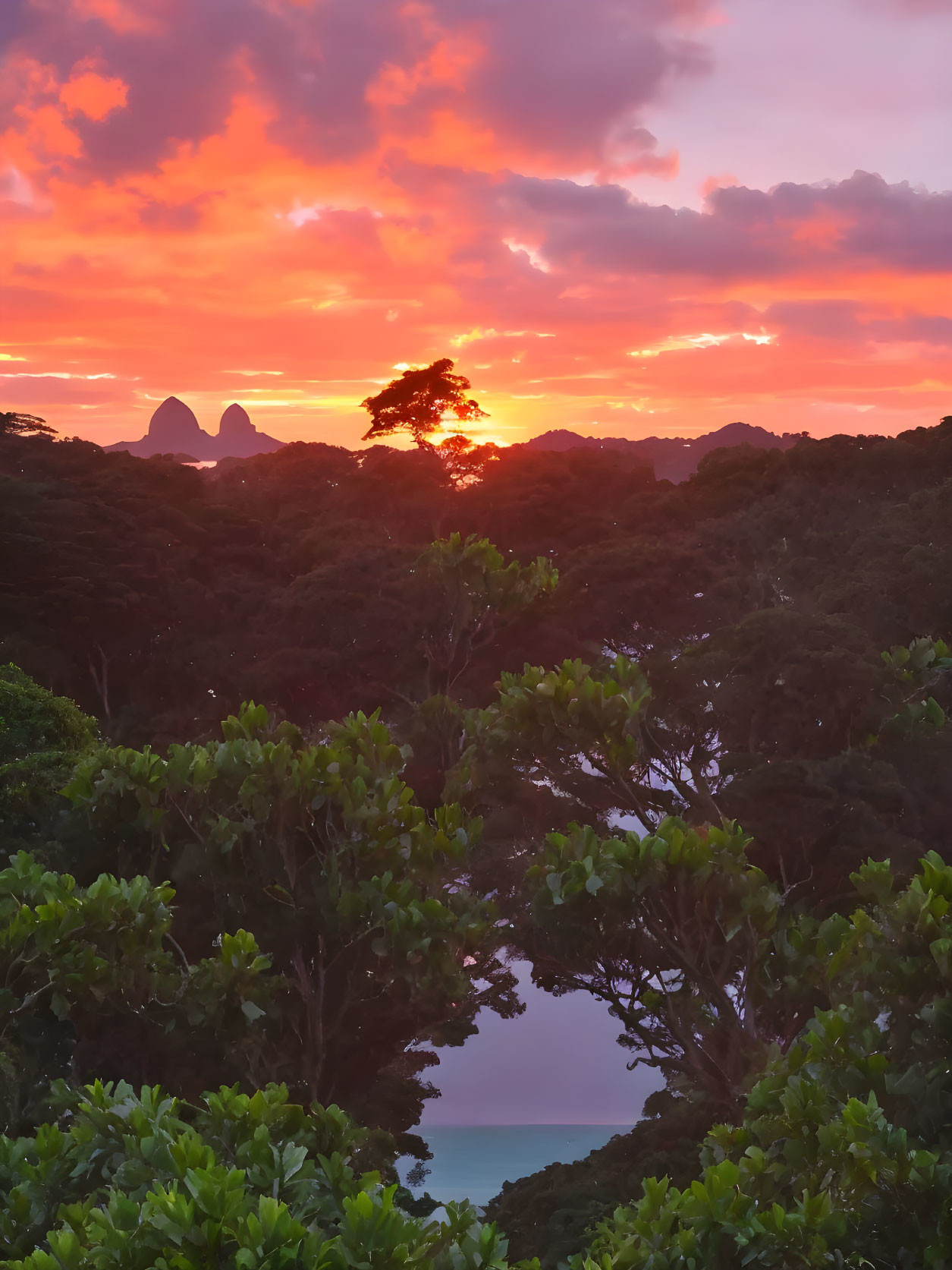 Colorful sunset over lush forest with fiery clouds and distant mountains