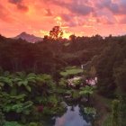 Colorful sunset over lush forest with fiery clouds and distant mountains