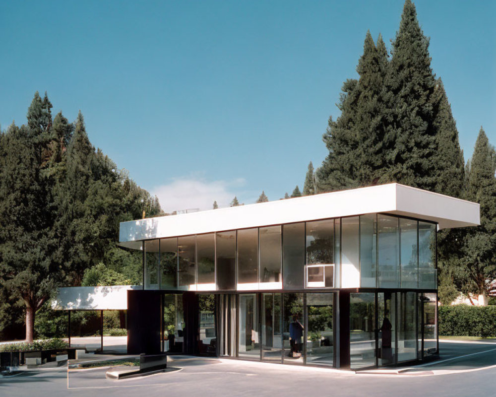 Glass building and trees under clear blue sky.